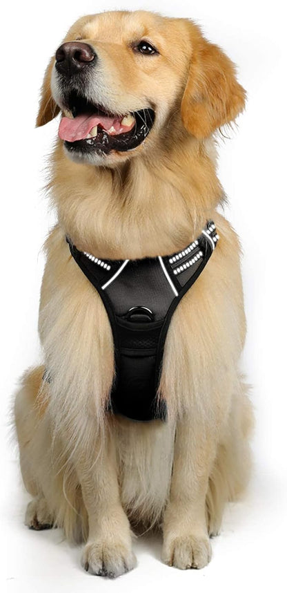 rabbitgoo Dog Harness, No-Pull Pet Harness with 2 Leash Clips, Adjustable Soft Padded Dog Vest, Reflective No-Choke Pet Oxford Vest with Easy Control Handle for Large Dogs, Black, XL