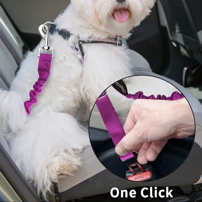 Dog seat Belt 2 Pack Adjustable Elastic Durable Nylon Pet Dog Car Seat Belt Pet Puppy Safety Leash Leads Car Vehicle Seatbelt for Dogs,Cats and Pets (Purple)