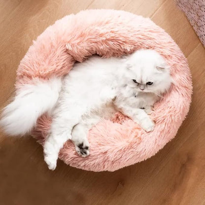 Small Cat Beds for Indoor Cats 16 inches, 5lbs)