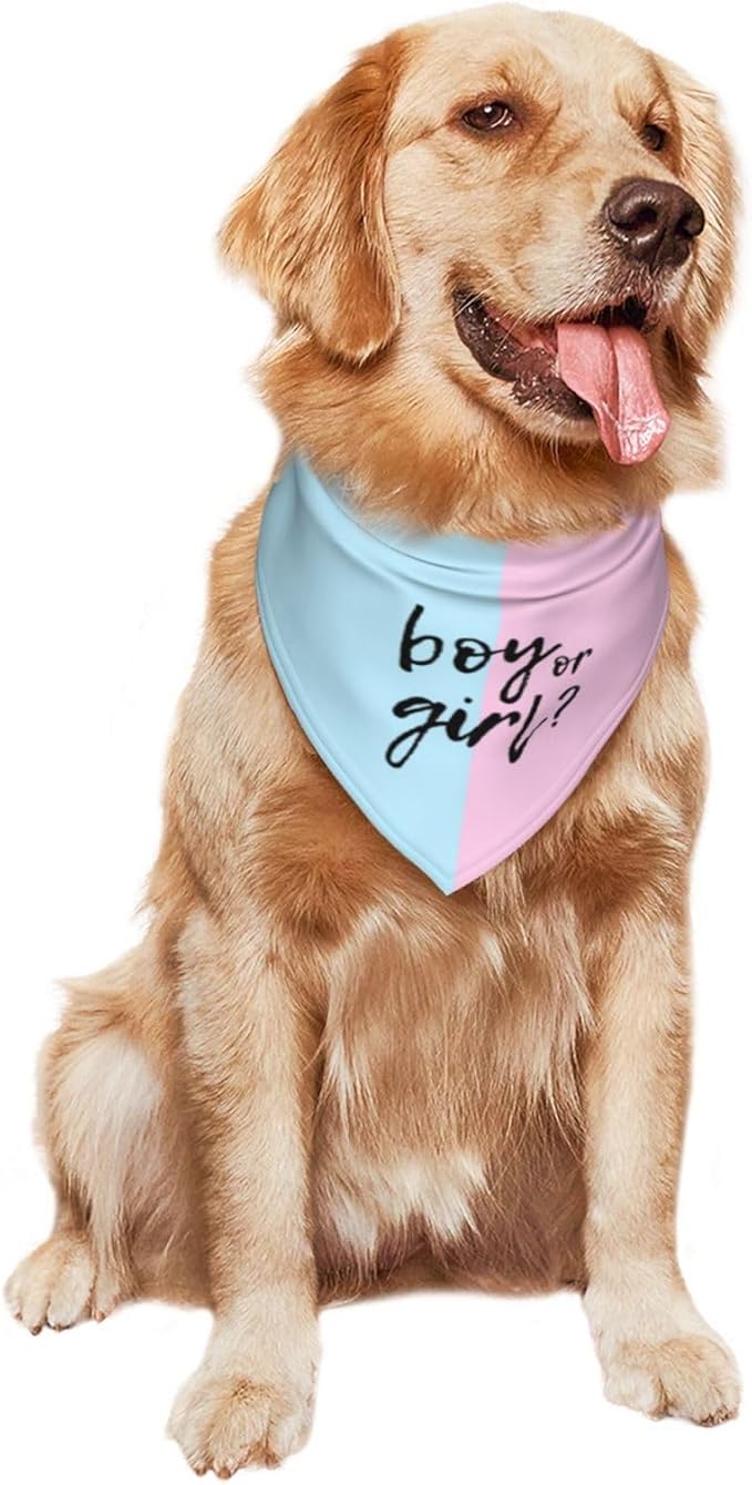 He Or She What Will It Be? Gender Reveal/Baby Announcement Dog Bandana,Pet Neckerchief for Pets Daily Wear Photo Prop Party Supplies (Pink/Blue)