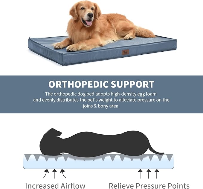 Outdoor Dog Bed for Extra Large Dogs