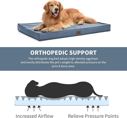 Orthopedic Dog Bed for Large Dogs