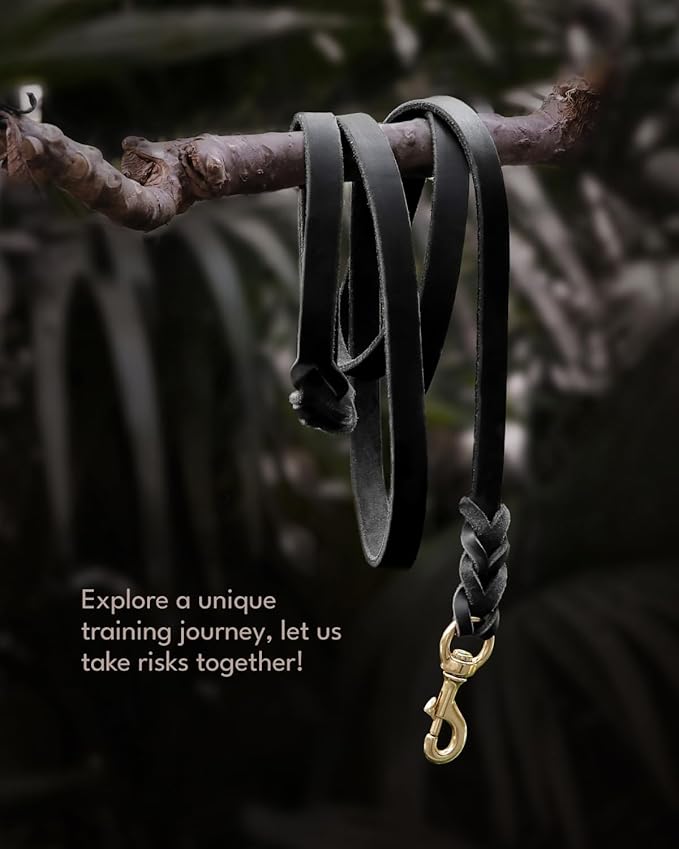 FAIRWIN Leather Dog Leash 6 Foot M:5/8" x 6ft)