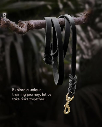 FAIRWIN Leather Dog Leash 6 Foot M:5/8" x 6ft)