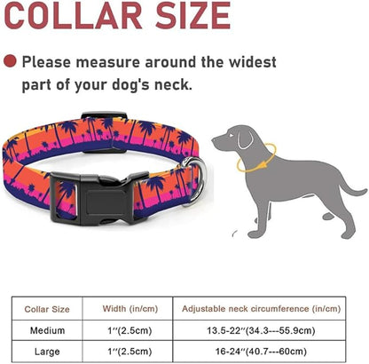 Dog Collar