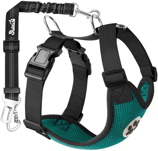 SlowTon Dog Seat Belt Harness for Car, Dog Car Harness Adjustable Mesh Breathable & Dog Seatbelt Safety Tether with Elastic Bungee for Small Medium Large Pets(Green, Double Clip, M)