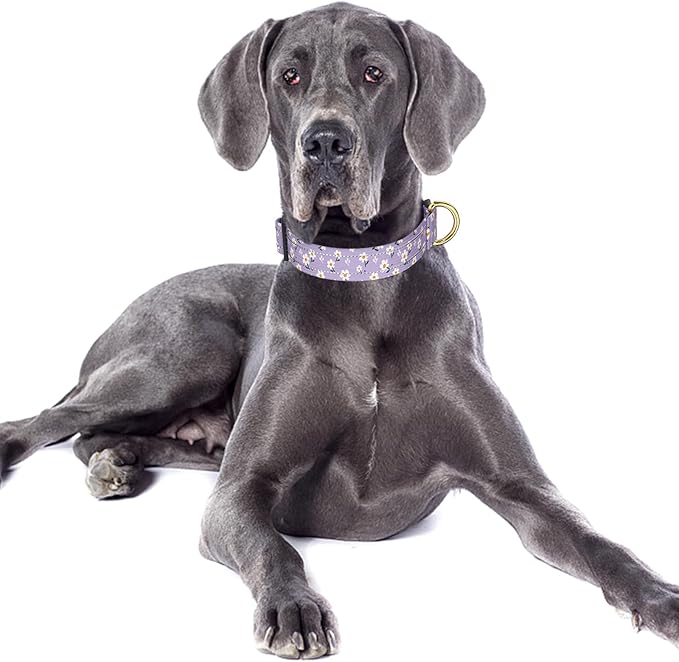 Reflective Dog Collar