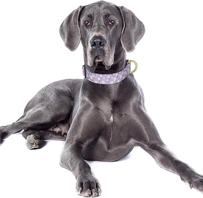 Reflective Dog Collar