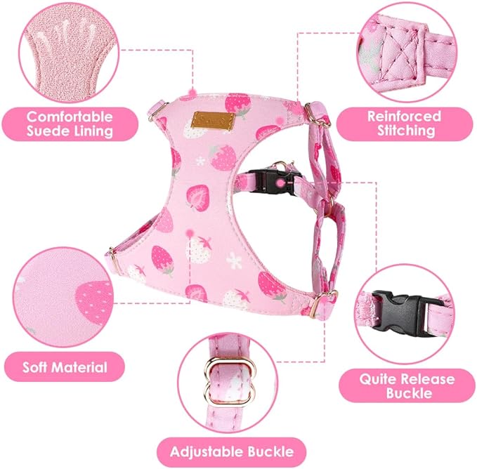 SlowTon No Pull Dog Harness with Leash - Soft Lightweight Floral Pattern Puppy Harness, Adjustable Pet Harness for Small Medium Dogs (Strawberry XXS)