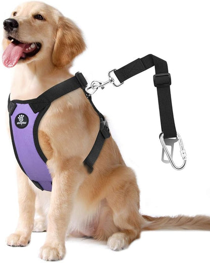 Dog Vehicle Safety Vest Harness, Adjustable Soft Padded Mesh Car Seat Belt Leash Harness with Travel Strap and Carabiner for Most Cars, Size Large, Purple