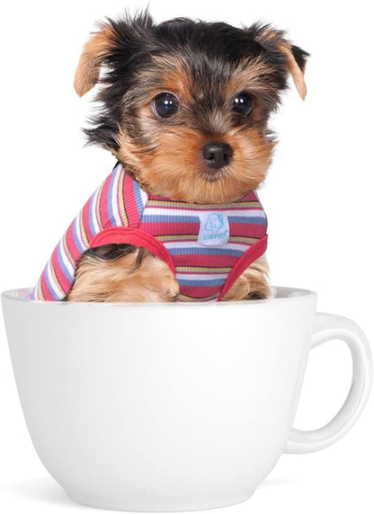 Striped Teacup Pet Dog T-Shirts 100% Cotton 3X-Small