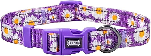 Floral Pattern Dog Collar