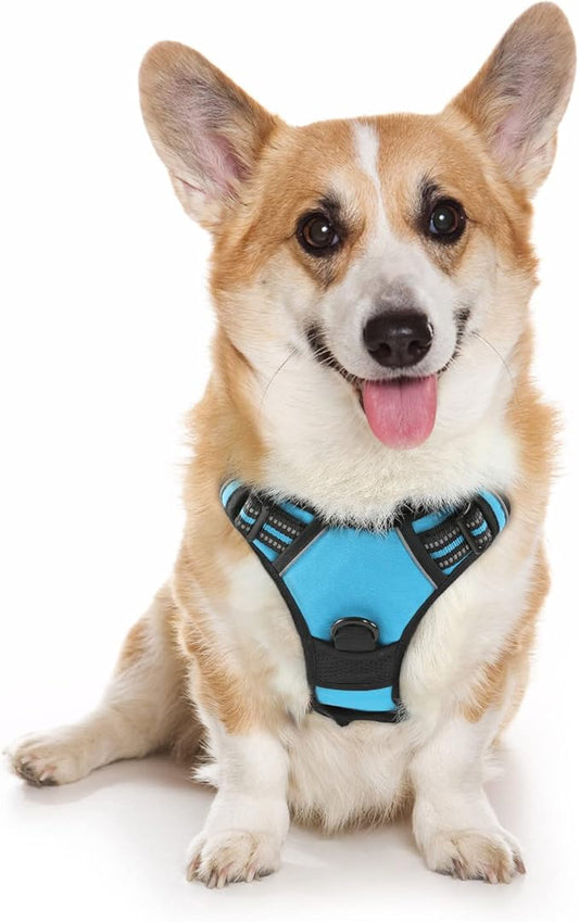 rabbitgoo Dog Harness, No-Pull Pet Harness with 2 Leash Clips, Adjustable Soft Padded Dog Vest, Reflective No-Choke Pet Oxford Vest with Easy Control Handle for Medium Dogs, Blue, M