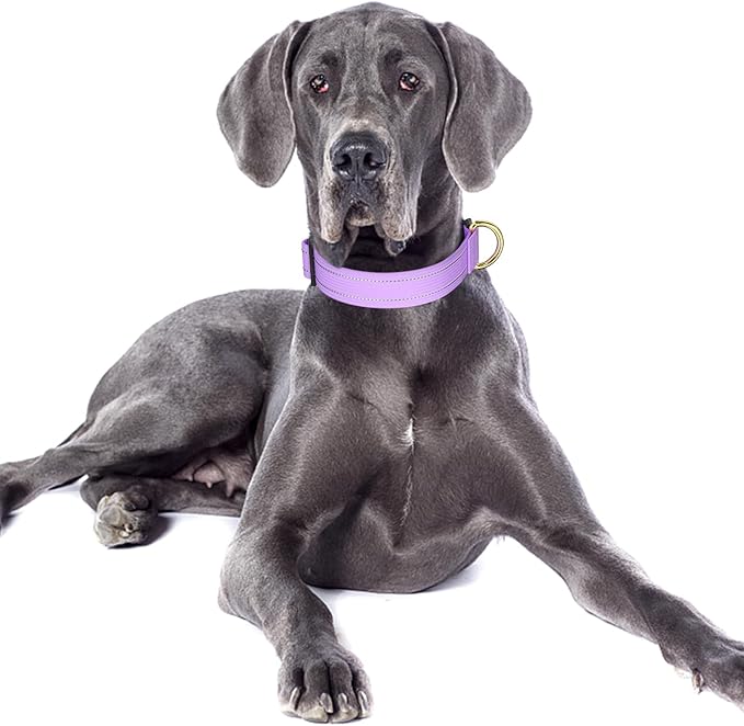 Reflective Dog Collar