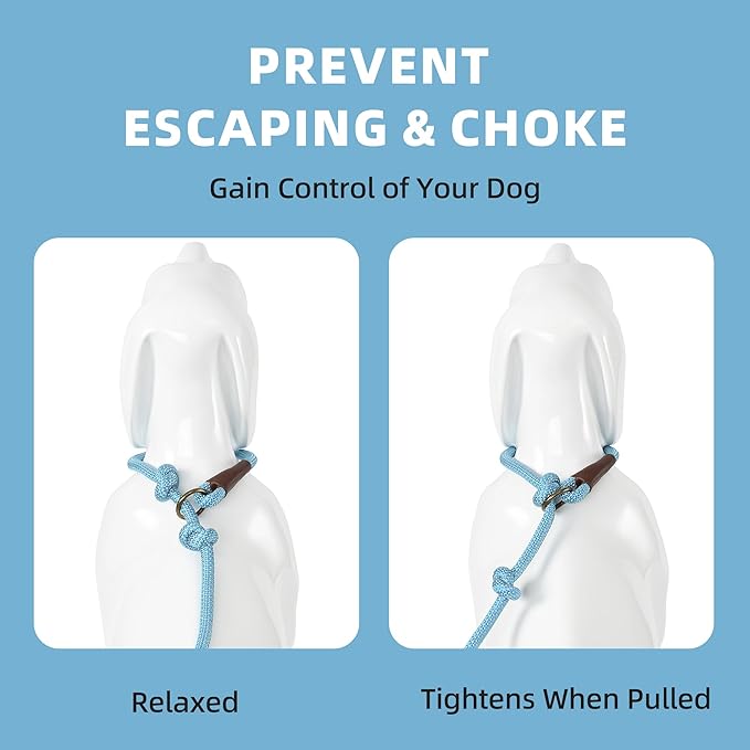 Mile High Life Slip Leads for Dogs 4 Feet