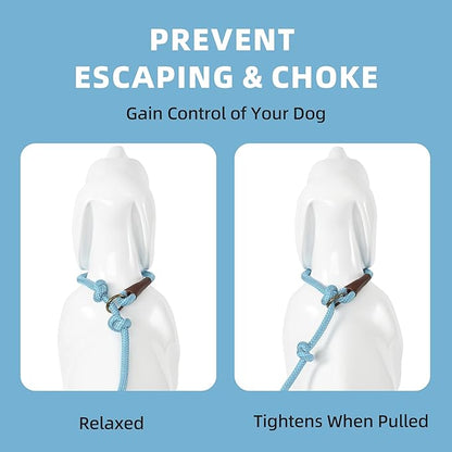 Mile High Life Slip Leads for Dogs 4 Feet