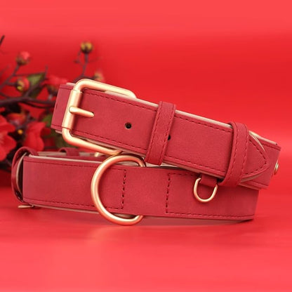 Didog Soft Padded Leather Dog Collar, Adjustable Dog Collars for Medium Dogs, Heavy Duty Medium Dog Collar Leather with Metal Buckle and D Ring,Red,M