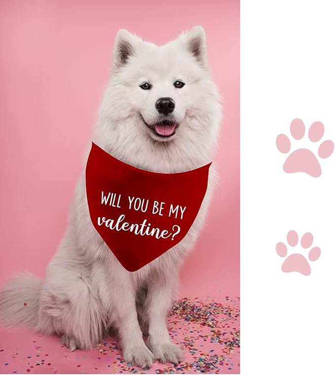 JXGZSO 1 Piece Free Kisses/Will You Be My