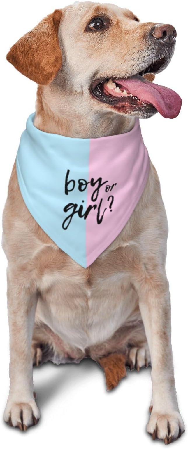 He Or She What Will It Be? Gender Reveal/Baby Announcement Dog Bandana,Pet Neckerchief for Pets Daily Wear Photo Prop Party Supplies (Pink/Blue)