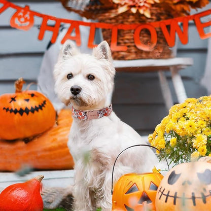 Unique style paws Dog Collar Metal Buckle Collar