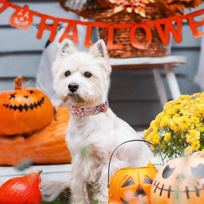 Unique style paws Dog Collar Metal Buckle Collar