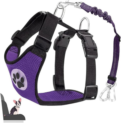 Lukovee Dog Seat Belt for Car, Adjustable Dog Car Harness for Large Medium Small Dogs, Soft Padded & Breathable Mesh Dog Seatbelt with Car Strap and Carabiner(Purple Double Clip,XXX-Small)