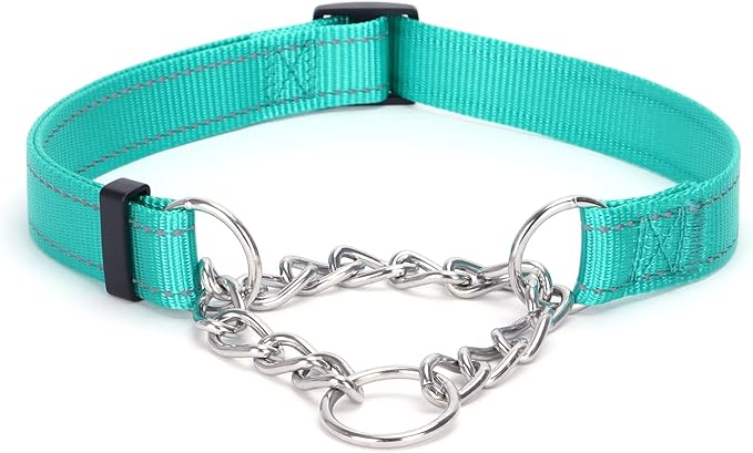 Martingale Dog Collar with Stainless Steel Chain and Leash Set 5FT Double
