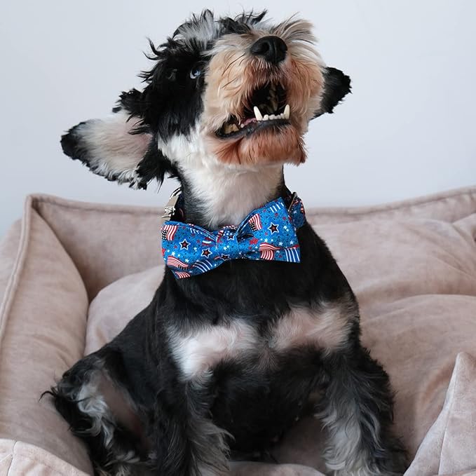 Patriotic Dog Collar with Bow Tie 4th of 16-24in