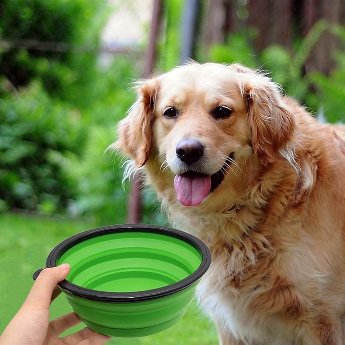 Collapsible Bowls, 2 Pack Water Bowls for Cats Dogs, Portable Pet Feeding Watering Dish for Walking Parking Traveling with 2 Carabiners (Large, Blue+Green)