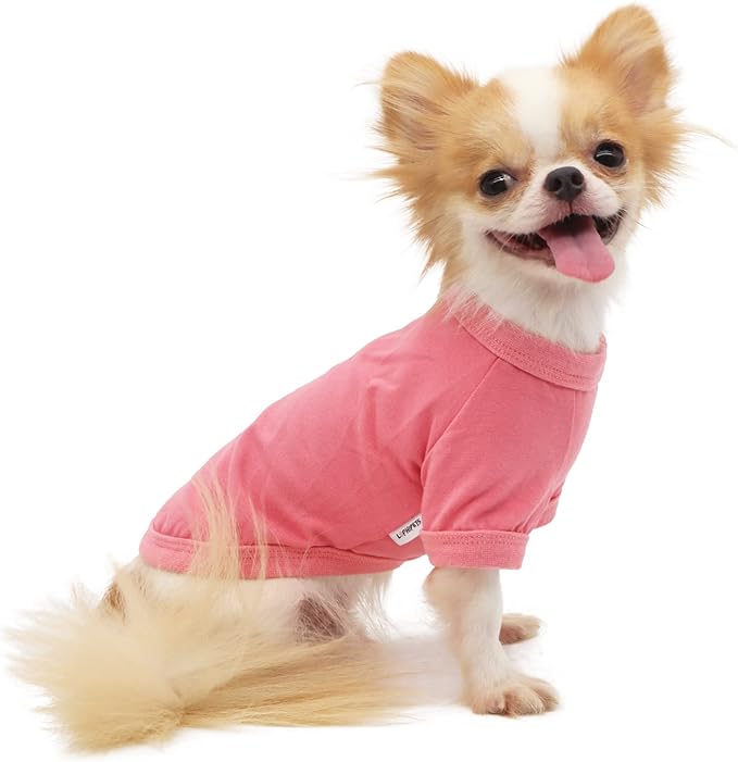 LOPHIPETS 100% Cotton Dog Tee Shirt for Small