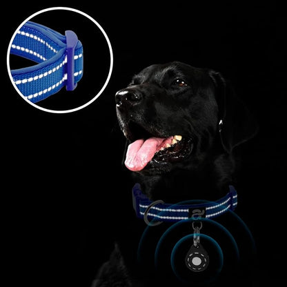 azuza Reflective Dog Collar with Airtag Holder