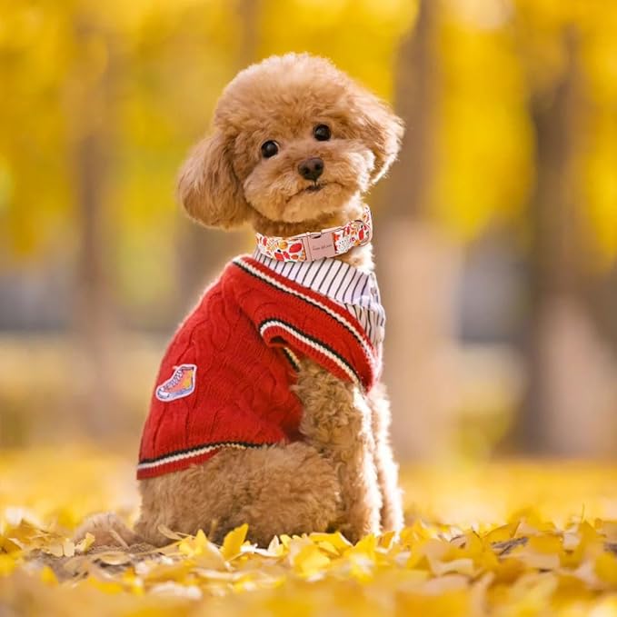 Unique style paws Dog Collar Metal Buckle Collar