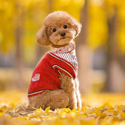 Unique style paws Dog Collar Metal Buckle Collar