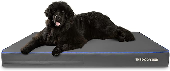 The Dog’s Bed Orthopedic Memory Foam Dog Bed 64x44, Pain