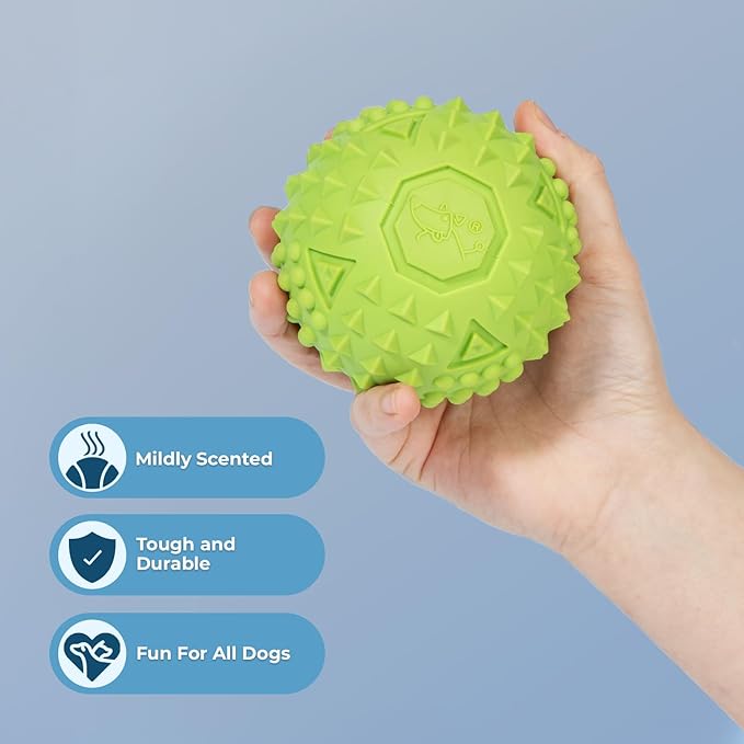 Best Pet Supplies Squeaky Rubber Toy for Dogs Durable Non-Toxic Perfect for Aggressive Chewers Spiked for Dental Health Interactive Dog Toy - Rubber Dog Toy - Pack of 2 - Fuchsia, Green (L = 3.5")