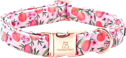 Lionheart glory Pink Dog Collar Peach Dog Collar