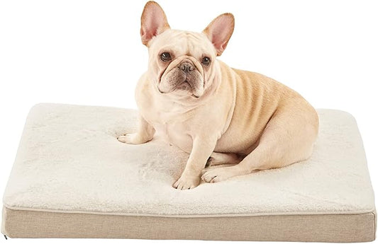 Medium Dog Beds for Medium Dogs