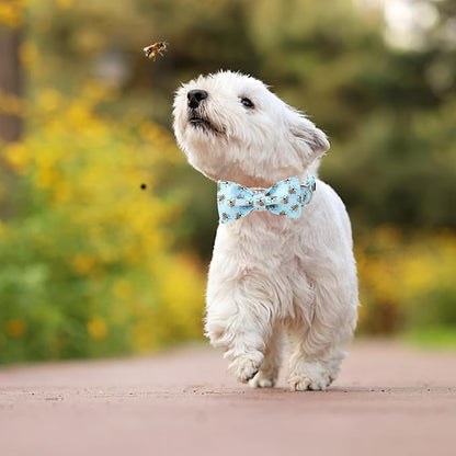 Maca Bates Blue Bee Dog Collar with Bow Bowtie for Dogs Bow Tie Adjustable Breakaway Blue Collars Accessories Birthday Gift for Small Medium Large XL Puppy with Golden Metal Buckle