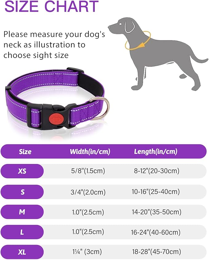 Reflective Dog Collar