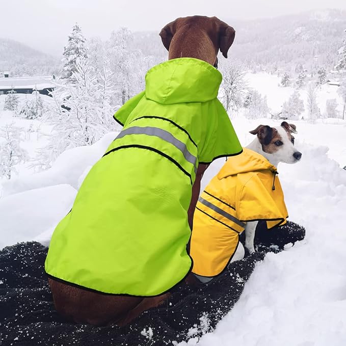 Candofly Dog Raincoat with Hood