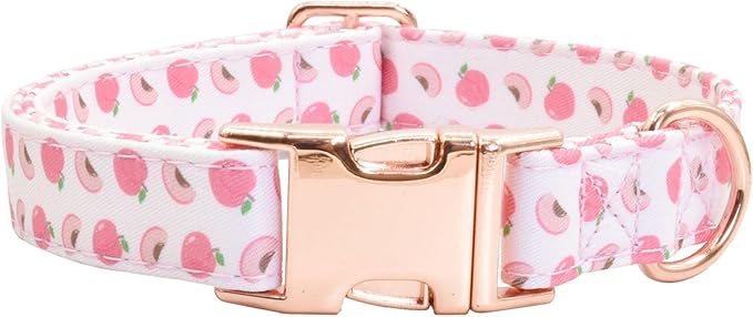 Cotton Dog Collar Metal Buckle Daisy Summer S(10-14in))