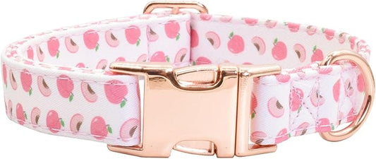 Cotton Dog Collar Metal Buckle Daisy Summer S(10-14in))