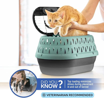 Petmate Top Load Pet Carrier for Cats 19 Inches 10 Pounds,
