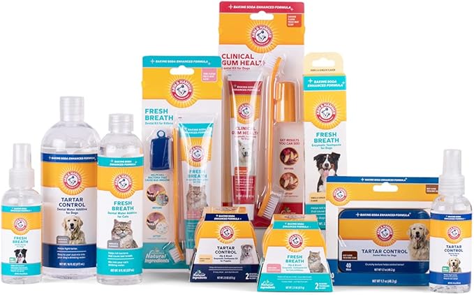 Arm & Hammer for Pets Dental Mints for Dogs, Fresh Breath | Get Fresh Doggie Breath Without Brushing, Way to Fresher Dog Breath | Chicken Flavor, 40 Count - 60 Pack