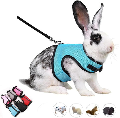 Ferret Harness and Leash Set, Guinea Pig Hamster Leash Young Rabbit Bunny Vest Mesh Eescape Proof Walking Training for Rat Hamster Squirrel Small Animal Pets Harness,Blue M