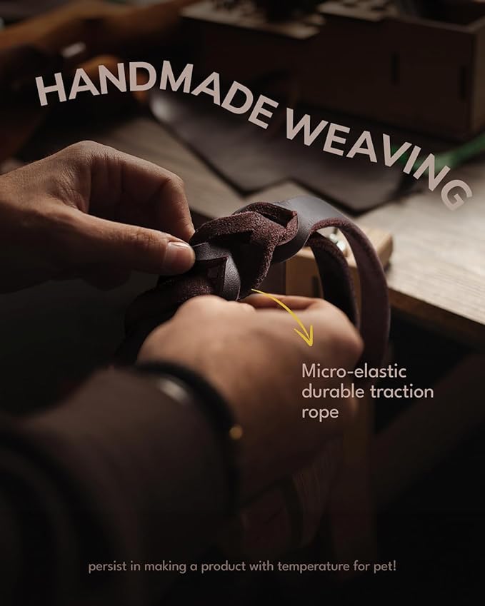 FAIRWIN Braided Leather Dog Leash 6 Foot S:1/2" x 6ft)