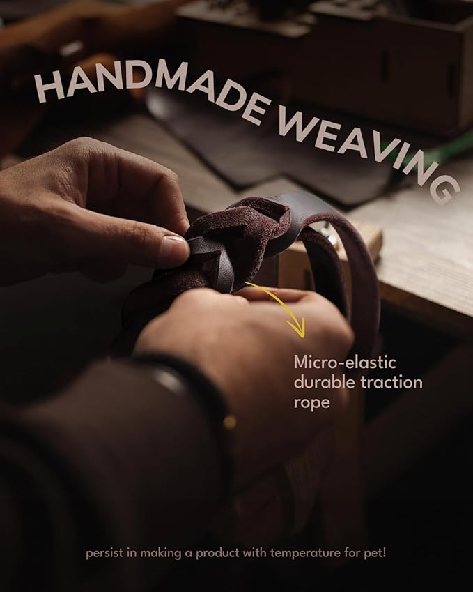 FAIRWIN Braided Leather Dog Training Leash 6 Foot L:3/4" x 6ft)