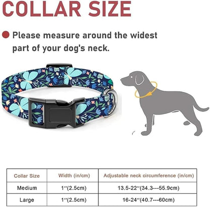 Dog Collar