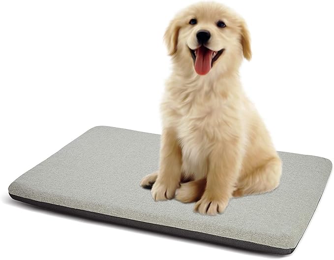 Panku Small 24inch Dog Bed 24x16x2)