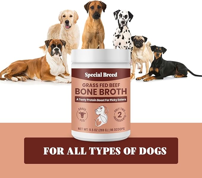 Bone Broth Powder for Dogs and Cats - Dog and Cat Food Topper, Grass Fed Beef Broth Supplement, 9.5 oz